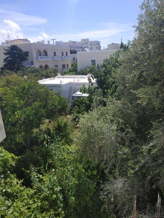 Enalion-Tinos Bed & Breakfast ภายนอก รูปภาพ